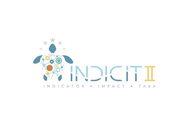 Indicit II